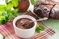 Homemade chocolate cake, chocolate dessert and mint Royalty Free Stock Photo