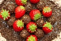 Homemade chocolate cake covered with chocolate sprinkles and fresh strawberries. Known in Brazil as "Bolo de Brigadeiro" Royalty Free Stock Photo