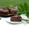 Homemade Chocolate Cake. Traditional Croatian cake - Skradinsky cake. World cuisines.