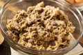 Homemade Chocolate Chip Cookie Dough Royalty Free Stock Photo