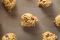 Homemade Chocolate Chip Cookie Dough Royalty Free Stock Photo