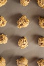 Homemade Chocolate Chip Cookie Dough Royalty Free Stock Photo