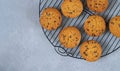 Homemade chocolate chip cookies on cooling wire rack top view Royalty Free Stock Photo