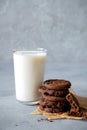 Homemade chocolate chip cookies and glass milk with copy space. On a gray background Royalty Free Stock Photo
