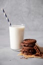 Homemade chocolate chip cookies and glass milk with copy space. On a gray background Royalty Free Stock Photo