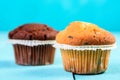 Homemade Chocolate Chip Muffins Royalty Free Stock Photo