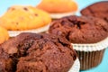 Homemade Chocolate Chip Muffins Royalty Free Stock Photo