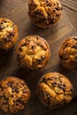 Homemade Chocolate Chip Muffins Royalty Free Stock Photo