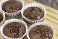 Homemade Chocolate Chip Muffins