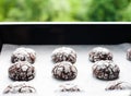 Homemade chocolate cookies with powdered sugar on baking tray. Close-up Royalty Free Stock Photo