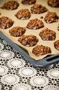 Homemade chocolate cookies Royalty Free Stock Photo