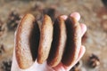 Homemade chocolate cookies for snack. Chocolate chip cookies shot in ceramic jar