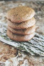 Homemade chocolate cookies for snack. Chocolate chip cookies shot in ceramic jar