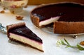 Homemade chocolate cream tart with blackberry jelly and walnuts Royalty Free Stock Photo