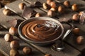 Homemade Chocolate Hazelnut Spread Royalty Free Stock Photo