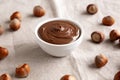 Homemade Chocolate Hazelnut Spread in a Bowl, side view. Close-up Royalty Free Stock Photo