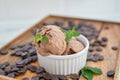 Homemade chocolate ice cream with chocolate pieces