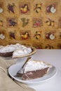 Homemade chocolate meringue pie Royalty Free Stock Photo