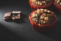 Homemade chocolate muffins or cupcakes sprinkled of nuts on dark background