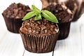 Homemade chocolate muffins in paper cupcake holder Royalty Free Stock Photo