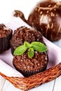 Homemade chocolate muffins in paper cupcake holder Royalty Free Stock Photo