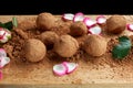 Homemade chocolate and nuts candy balls with cocoa powder. Royalty Free Stock Photo