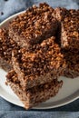 Homemade Chocolate Rice Crispy Treats Royalty Free Stock Photo