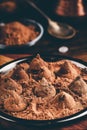 Homemade chocolate truffles coated in cocoa powder Royalty Free Stock Photo