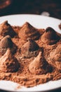 Homemade chocolate truffles coated in cocoa powder Royalty Free Stock Photo