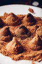 Homemade chocolate truffles coated in cocoa powder Royalty Free Stock Photo