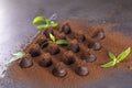 Homemade chocolate truffles with mint sprinkled with cocoa powder