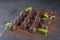 Homemade chocolate truffles with mint sprinkled with cocoa powder