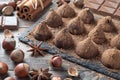 Homemade chocolate truffles sprinkled with cocoa powder and assorted chocolate with nuts and other spices Royalty Free Stock Photo