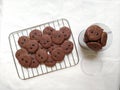 Homemade Chocolatechip Cookies Royalty Free Stock Photo