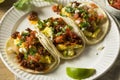 Homemade Chorizo Breakfast Tacos Royalty Free Stock Photo