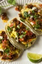 Homemade Chorizo Breakfast Tacos Royalty Free Stock Photo