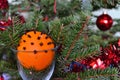 Christmas Orange decorated with cloves and pine