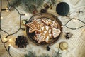 Homemade christmas gingerbread cookies on plate, fir branches, ornaments and warm lights on cozy knitted background. Atmospheric