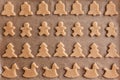 Homemade Christmas gingerbread. Raw dough. Bells, little men, horses, Christmas trees