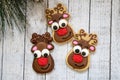 Homemade Christmas reindeer decorated sugar cookies, isolated on wood bcakground Royalty Free Stock Photo