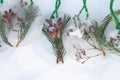 Homemade Christmas tree decorations made of ice and spruce twigs lie on white snow Royalty Free Stock Photo