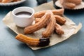 Homemade churros with cinnamon sugar on parchment