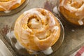 Homemade Cinnamon Roll Sticky Buns Royalty Free Stock Photo