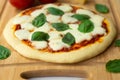 Homemade classic italian napoli pizza with tomato sauce, mozzarella cheese and basil leaves: pizza napoletana. Royalty Free Stock Photo