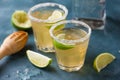 Homemade classic margarita