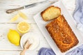 Homemade coconut citrus cake with lemon syrup Royalty Free Stock Photo