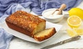 Homemade coconut citrus cake with lemon syrup Royalty Free Stock Photo