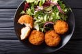 Homemade codfish cake and fresh salad closeup on a plate. horizontal top view Royalty Free Stock Photo