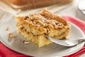 Homemade Coffee Cake with Cinnamon