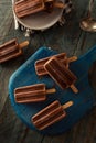 Homemade Cold Chocolate Fudge Popsicles Royalty Free Stock Photo